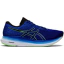 ASICS EvoRide 2