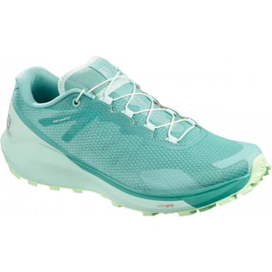 Salomon Sense Ride 3